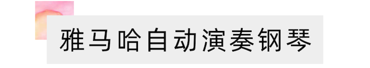 活动报道 | 远程艺术教育大师课活动—AG尊龙教育家崔岚大师课